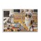 Stupell Industries Meow Bakery Funny Cats Framed Giclee Wall Art Design by Mehu Art